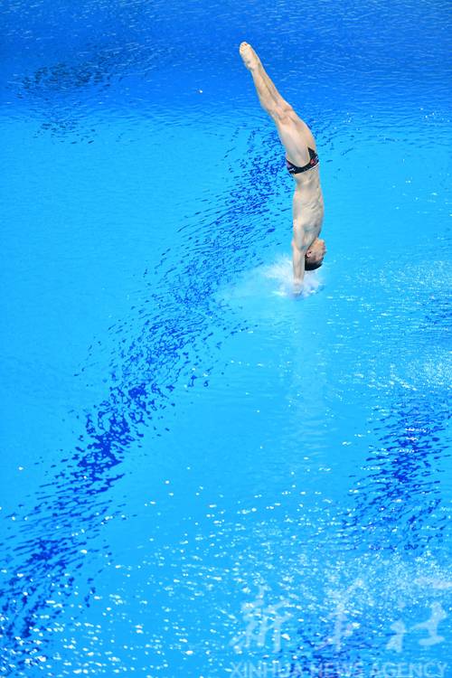 男子10米跳台跳水决赛全场比赛